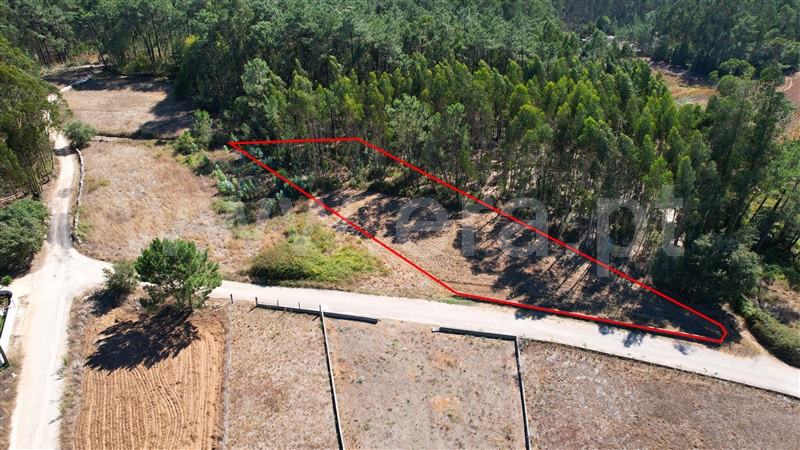 Terreno para Construção  com Rústico Leiria, Santa Catarina da Serra e Chainça - 1352289 - 3