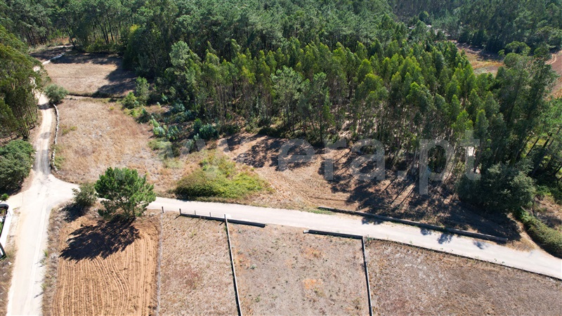 Terreno para Construção  com Rústico Leiria, Santa Catarina da Serra e Chainça - 1352289 - 4