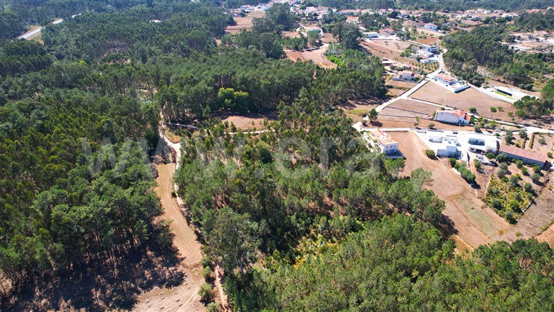 Terreno para Construção  com Rústico Leiria, Santa Catarina da Serra e Chainça - 1352289 - 5