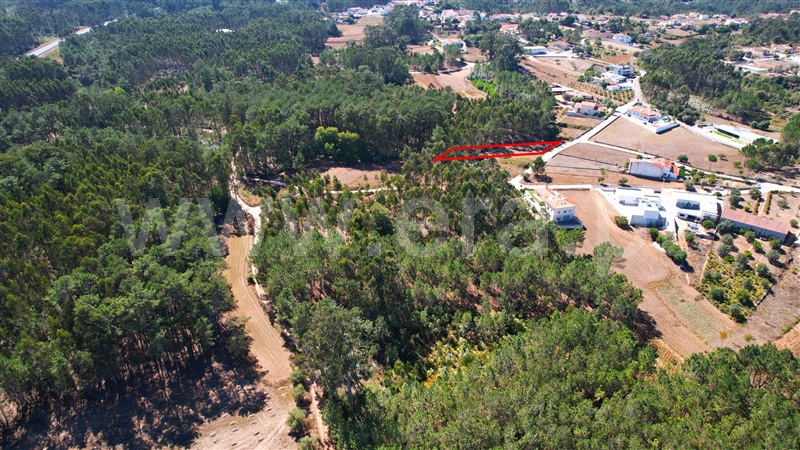Terreno para Construção  com Rústico Leiria, Santa Catarina da Serra e Chainça - 1352289 - 6