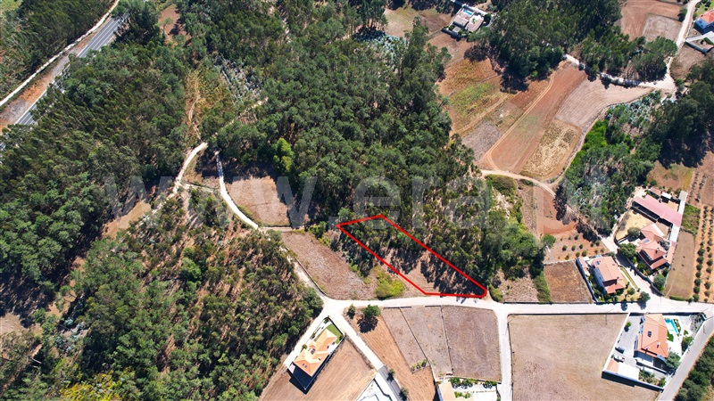 Terreno para Construção  com Rústico Leiria, Santa Catarina da Serra e Chainça - 1352289 - 8