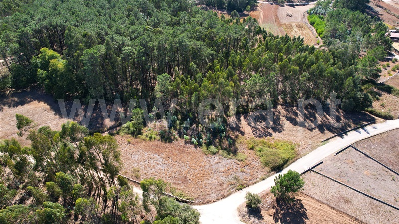 Terreno para Construção  com Rústico Leiria, Santa Catarina da Serra e Chainça - 1352289 - 9