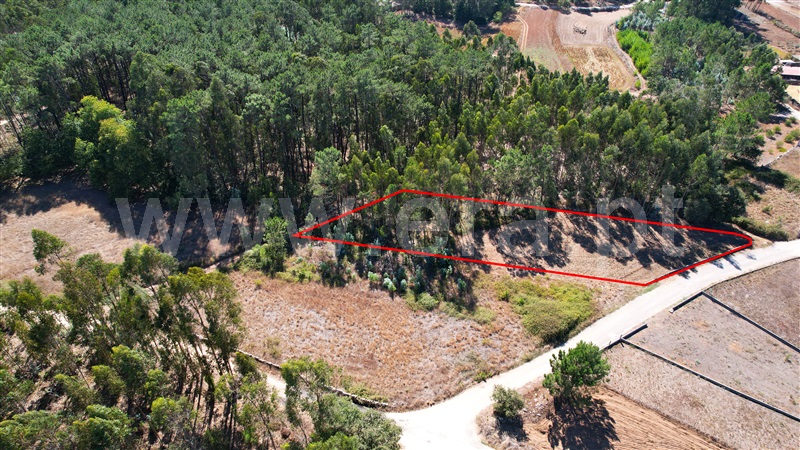 Terreno para Construção  com Rústico Leiria, Santa Catarina da Serra e Chainça - 1352289 - 10