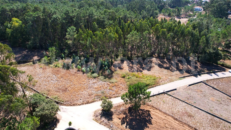 Terreno para Construção  com Rústico Leiria, Santa Catarina da Serra e Chainça - 1352289 - 11