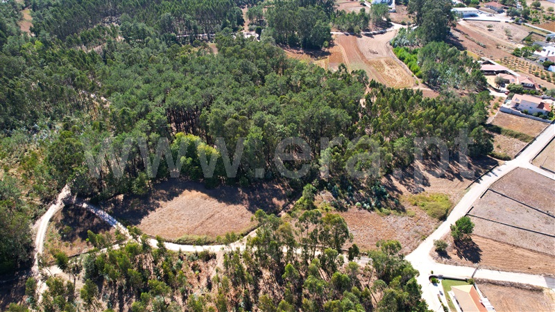 Terreno para Construção  com Rústico Leiria, Santa Catarina da Serra e Chainça - 1352289 - 12