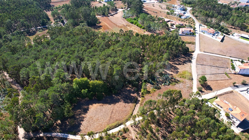 Terreno para Construção  com Rústico Leiria, Santa Catarina da Serra e Chainça - 1352289 - 13