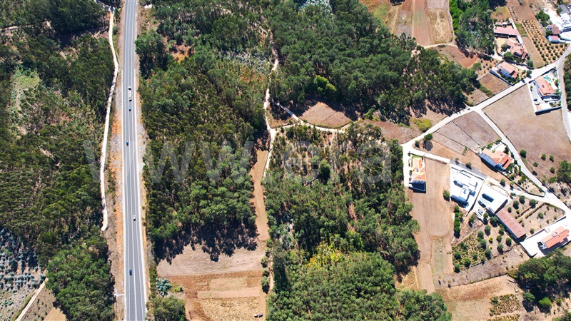 Terreno para Construção  com Rústico Leiria, Santa Catarina da Serra e Chainça - 1352289 - 15