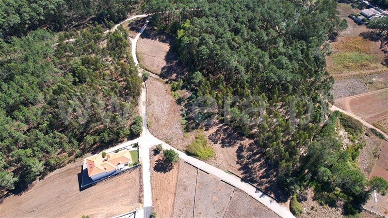 Terreno para Construção  com Rústico Leiria, Santa Catarina da Serra e Chainça - 1352289 - 16