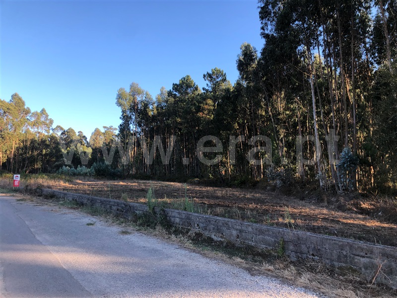 Terreno para Construção  com Rústico Leiria, Santa Catarina da Serra e Chainça - 1352289 - 19