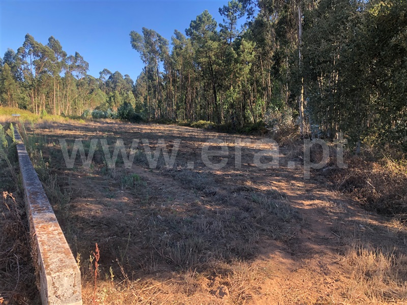 Terreno para Construção  com Rústico Leiria, Santa Catarina da Serra e Chainça - 1352289 - 20