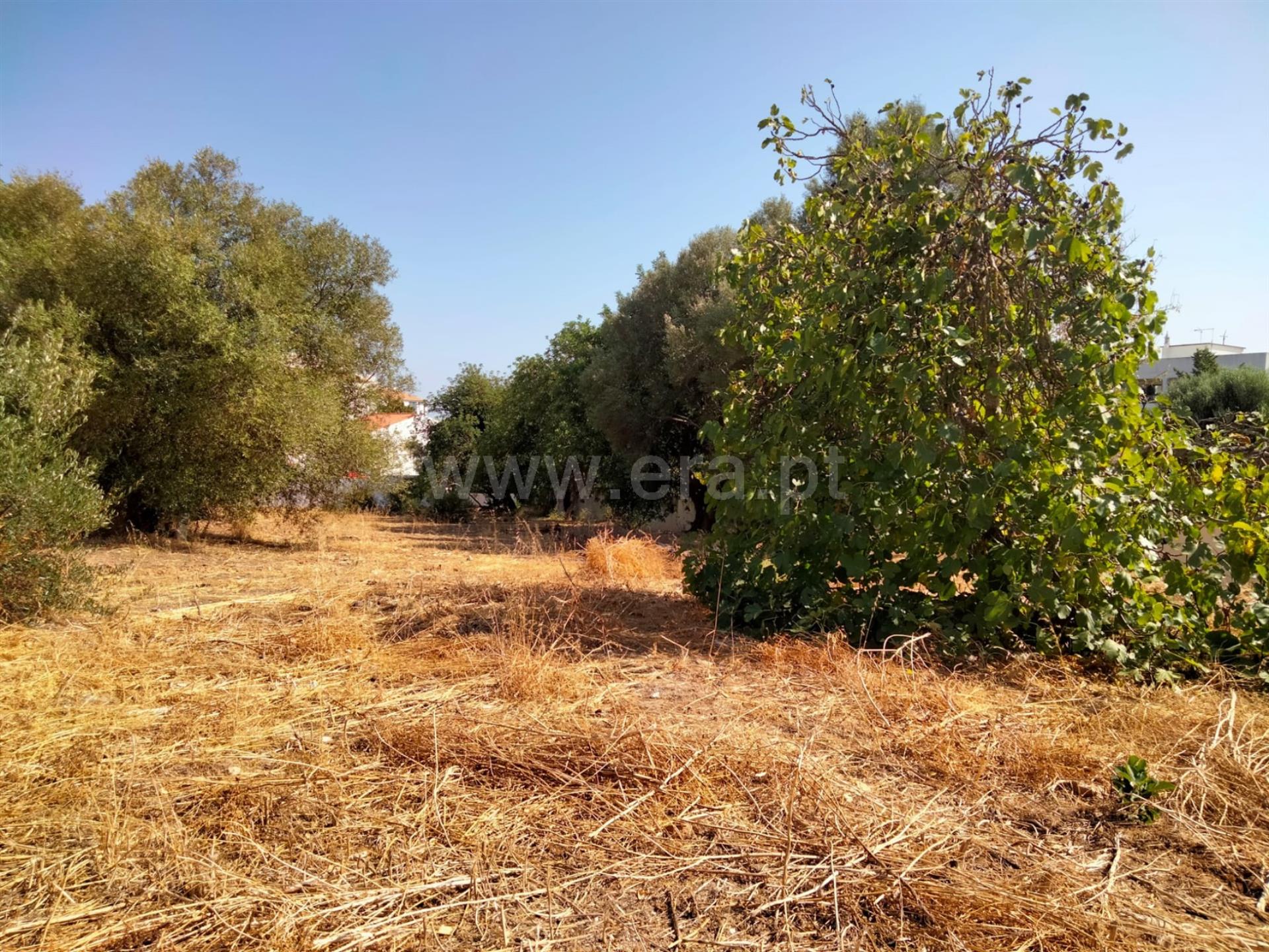 Land for sale in Loulé, Portugal — €180,000