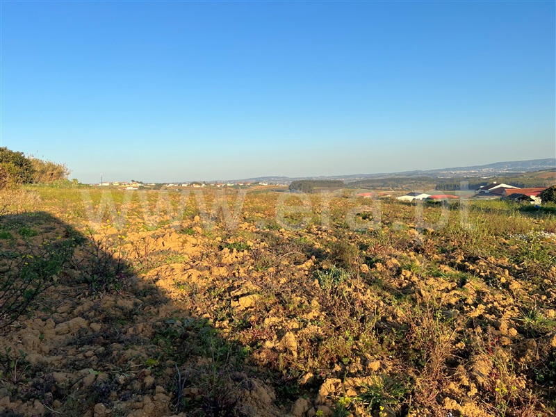 Terreno para Construção / Lourinhã, Fontelas