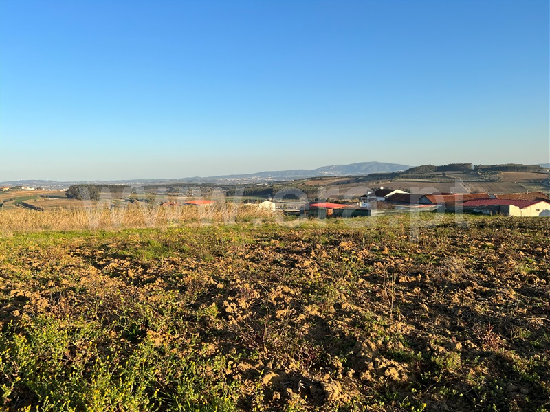 Terreno Rústico  Lourinhã, Reguengo Grande - 1225902 - 4