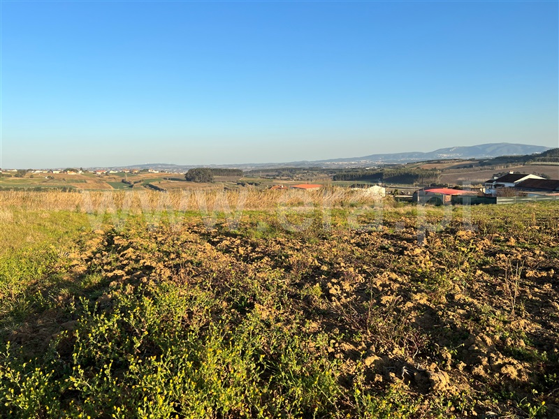 Terreno Rústico  Lourinhã, Reguengo Grande - 1225902 - 8