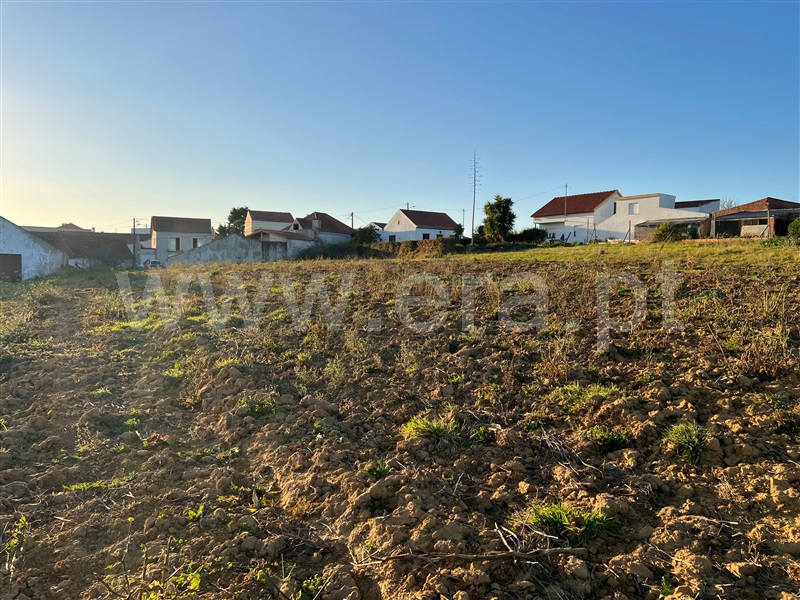 Terreno Rústico  Lourinhã, Reguengo Grande - 1225902 - 11
