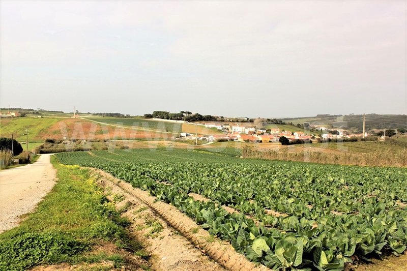 Terreno para Construção / Lourinhã, Lourinhã e Atalaia