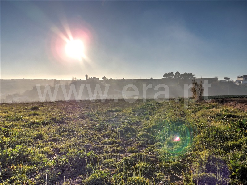Terreno para Construção  Lourinhã, Casal Vale de Abrantes - 981706 - 4