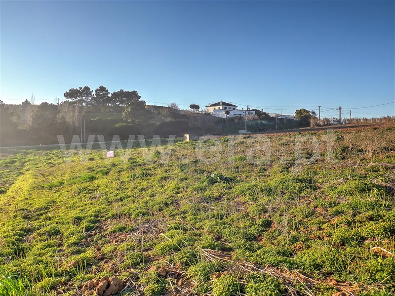 Terreno para Construção  Lourinhã, Casal Vale de Abrantes - 981706 - 7