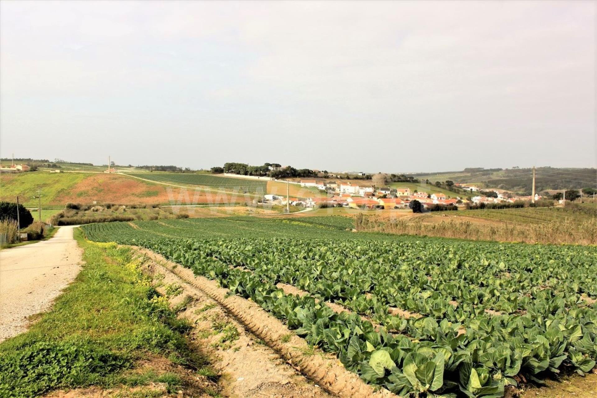 Land for sale in Lourinhã, Portugal — €499,000
