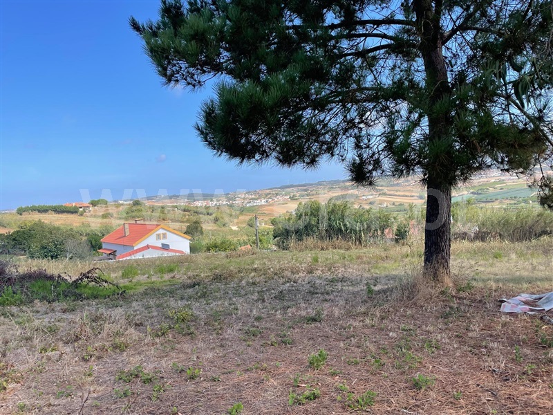 Terreno para Construção  Lourinhã, Marteleira - 1508065 - 5