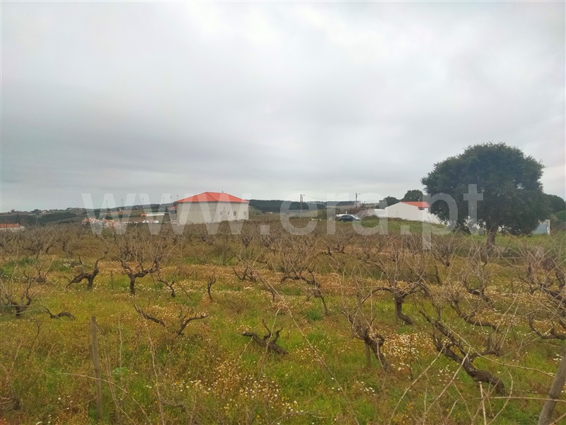 Terreno para Construção  com Aprovado Lourinhã, Moita dos Ferreiros - 1288581 - 4