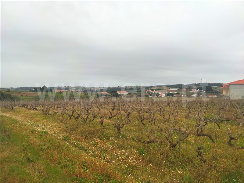 Terreno para Construção  com Aprovado Lourinhã, Moita dos Ferreiros - 1288581 - 5