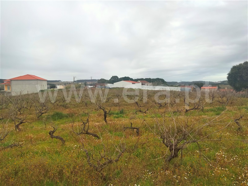 Terreno para Construção  com Aprovado Lourinhã, Moita dos Ferreiros - 1288581 - 7