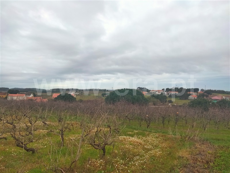 Terreno para Construção  com Aprovado Lourinhã, Moita dos Ferreiros - 1288581 - 9