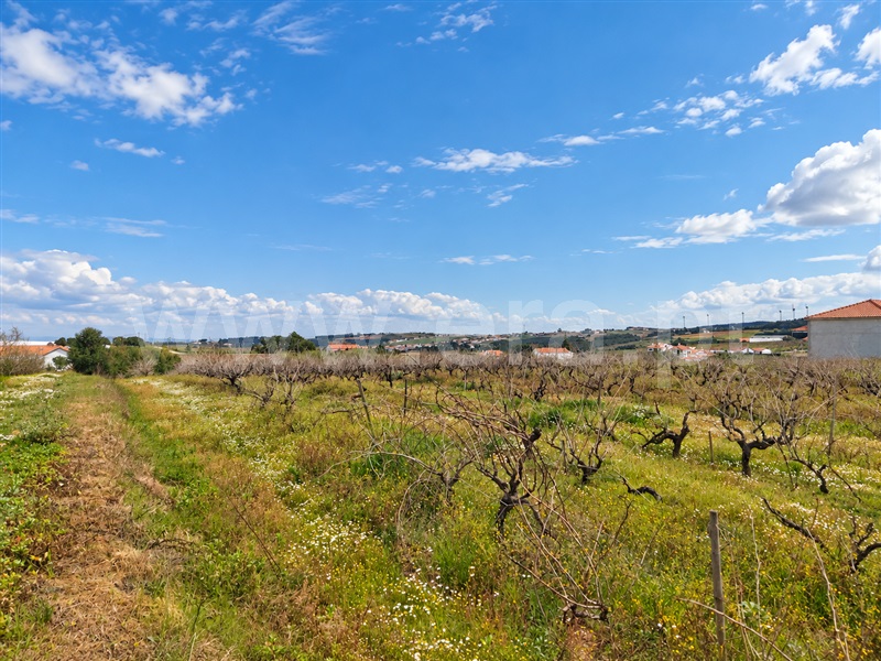 Terreno para Construção / Lourinhã, Moita dos Ferreiros