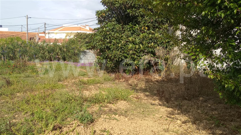 Terreno para Construção / Lourinhã, Lourinhã e Atalaia