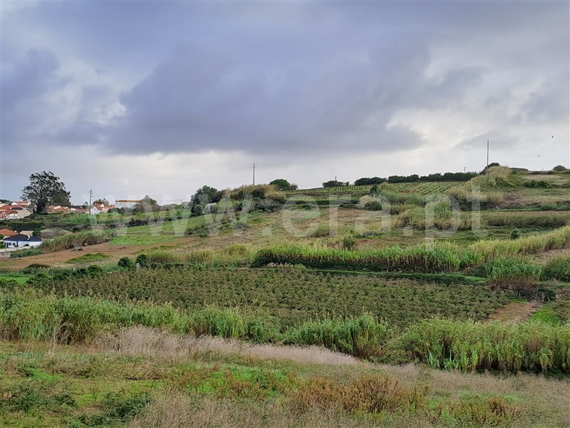 Terreno para Construção  Lourinhã, Reguengo Grande - 1353645 - 3