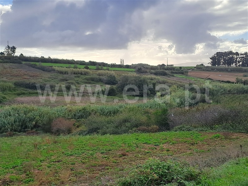 Terreno para Construção / Lourinhã, Reguengo Grande