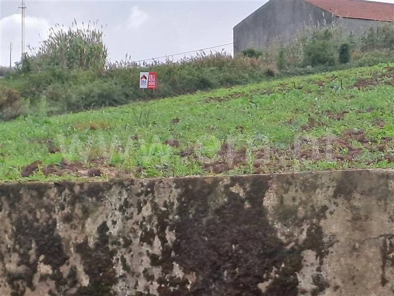 Terreno para Construção  Lourinhã, Reguengo Grande - 1353645 - 10