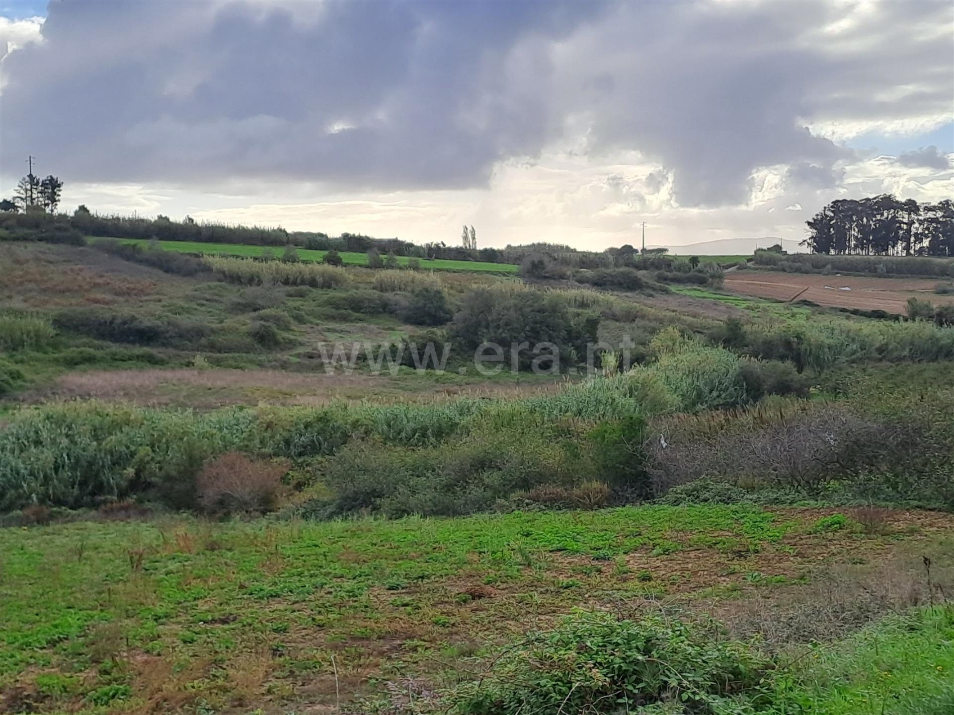 Land for sale in Lourinhã, Portugal — €62,000