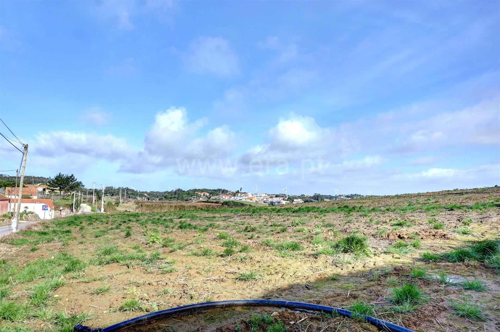 Land for sale in Lourinhã, Portugal — €237,500