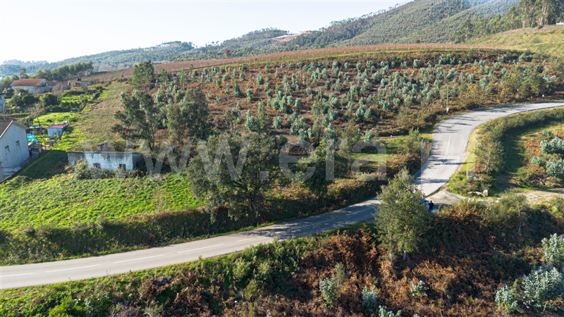 Terreno para Construção  Lousada, Cernadelo e Lousada (São Miguel e Santa Margarida) - 1414733 - 3