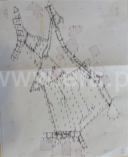 Terreno para Construção  Lousada, Cernadelo e Lousada (São Miguel e Santa Margarida) - 1502429 - 11