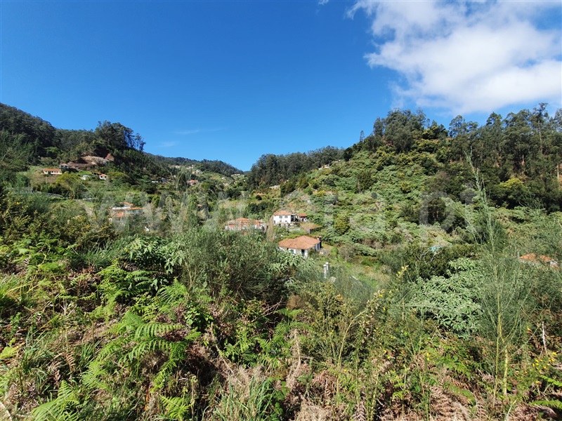 Terreno Urbano  Machico, Santo António da Serra - 1083160 - 8