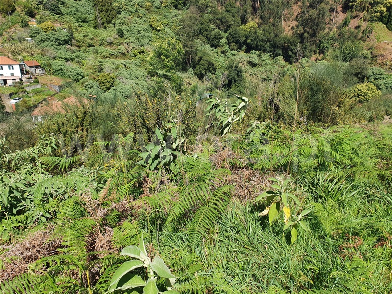 Terreno Urbano  Machico, Santo António da Serra - 1083160 - 10