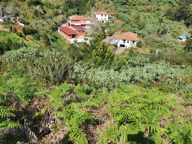 Terreno Urbano  Machico, Santo António da Serra - 1083160 - 12
