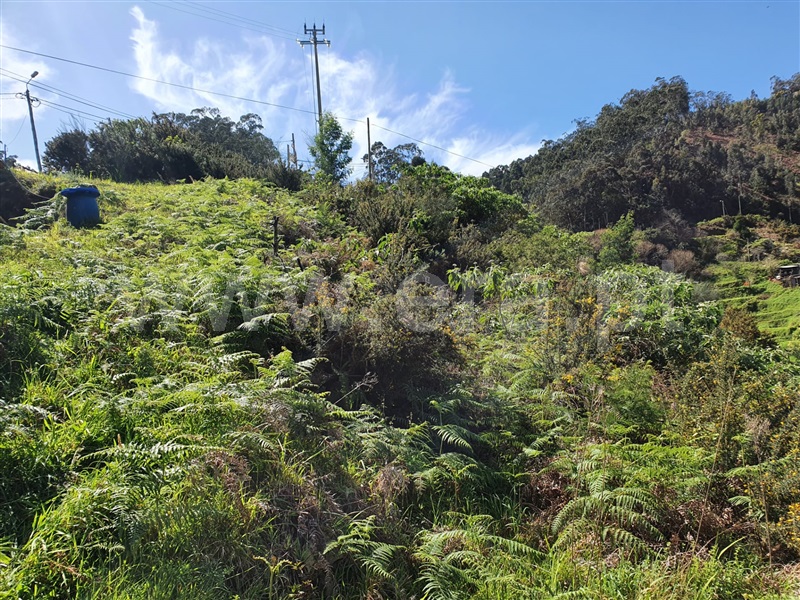 Terreno Urbano  Machico, Santo António da Serra - 1083160 - 13