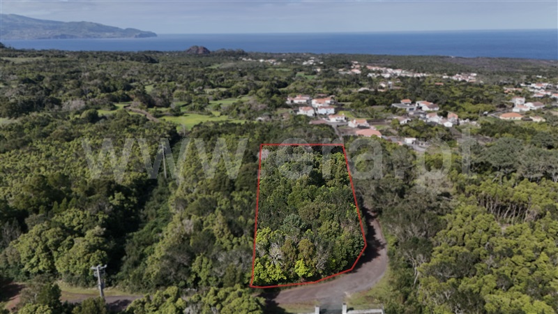 Terreno para Construção / Madalena, Bandeiras