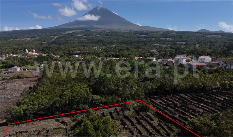 Terreno para Construção / Madalena, Bandeiras
