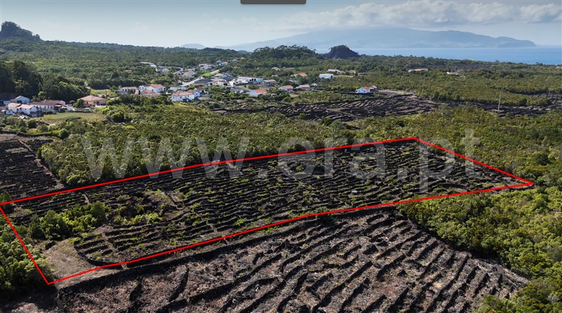Terreno para Construção  Madalena, Bandeiras - 1420292 - 3