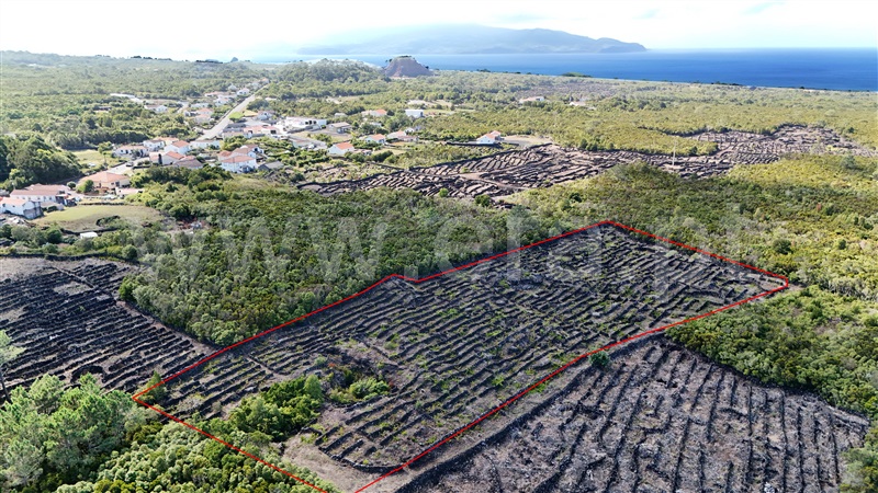Terreno para Construção  Madalena, Bandeiras - 1420292 - 5