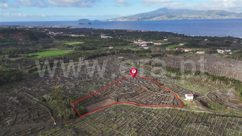 Terreno para Construção / Madalena, Bandeiras
