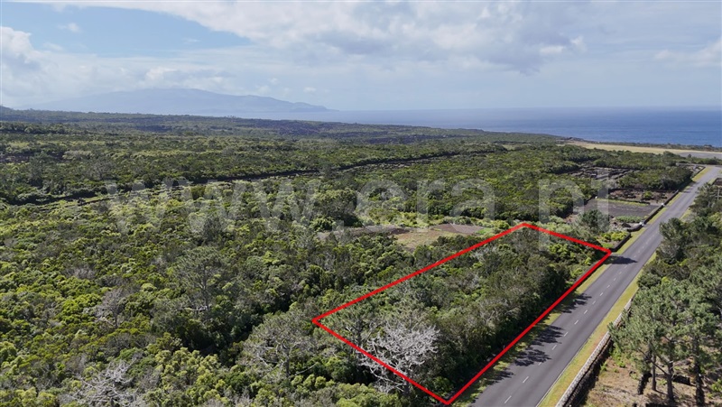 Terreno para Construção / Madalena, Bandeiras