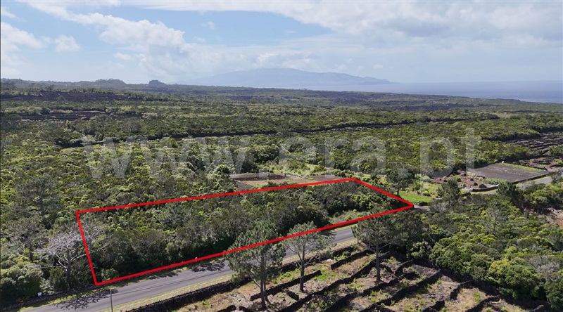 Terreno para Construção  com Vista Mar Madalena, Bandeiras - 1472273 - 2