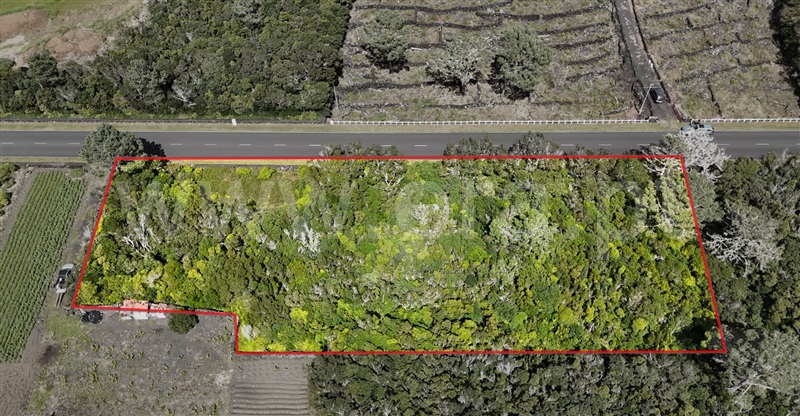 Terreno para Construção  com Vista Mar Madalena, Bandeiras - 1472273 - 3