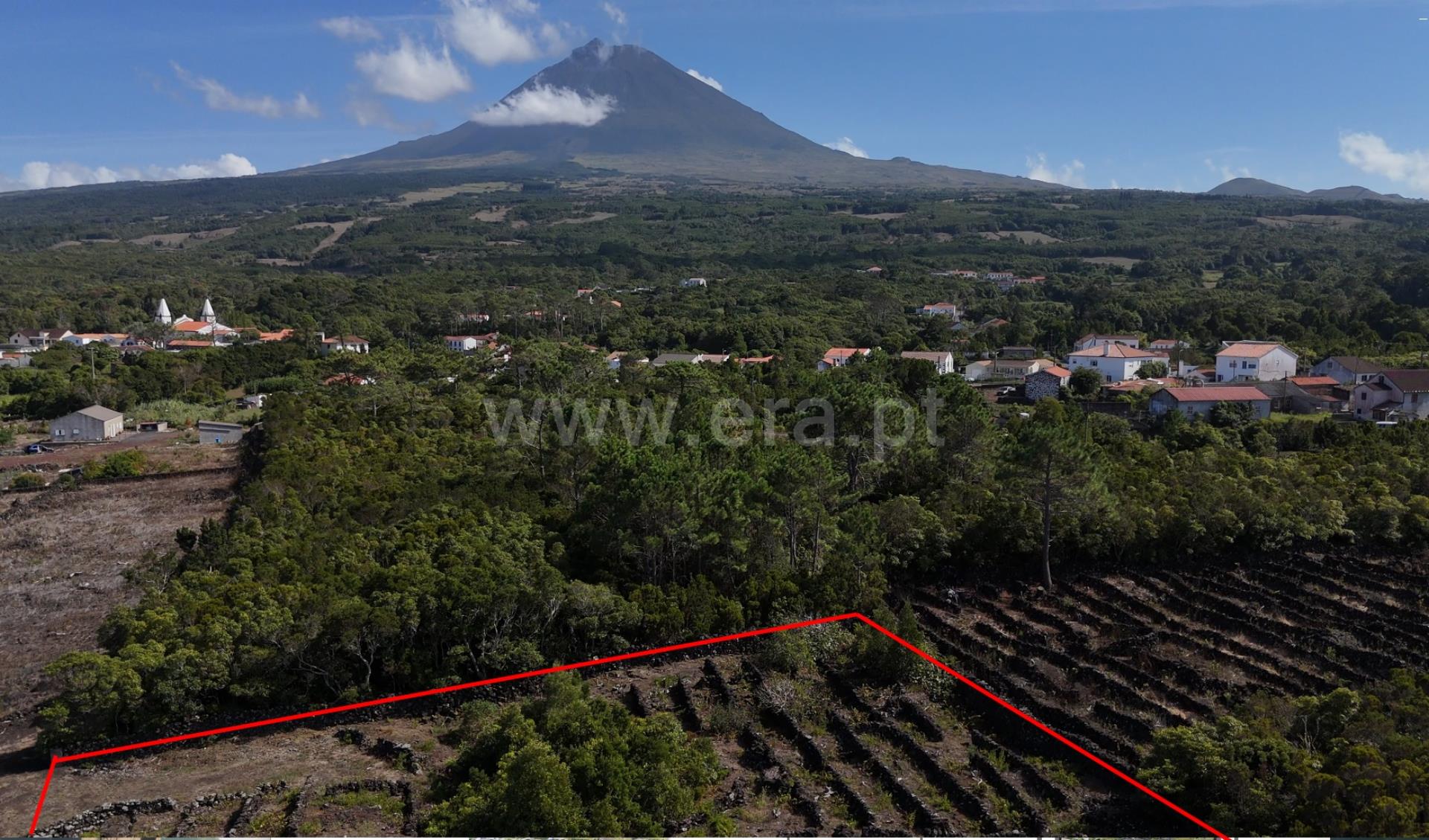 Land for sale in Vila Nova de Gaia, Portugal — €50,000